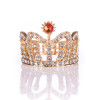Crown for Mr. Winky (IT)