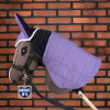 Skippi Halter for a Hobby Horse - Reins and 2 Removable Fleece Covers - Black