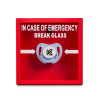 Baby Emergency Frame - Rompi il vetro (EN)